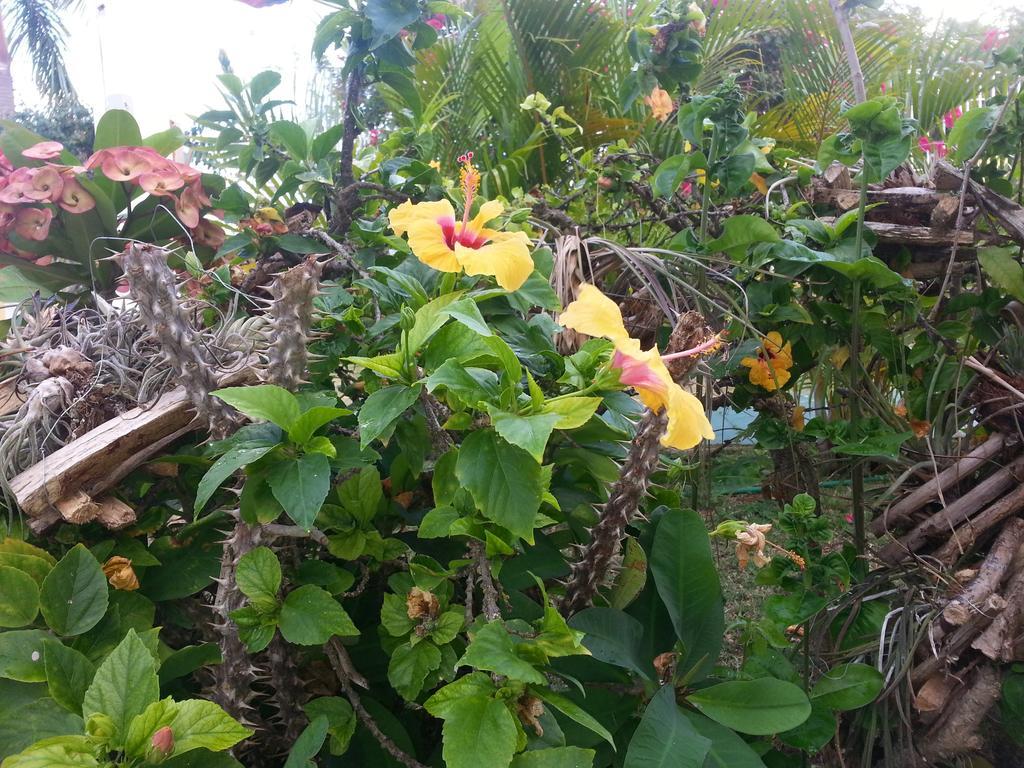 Hotel Emerald View Montego Bay
