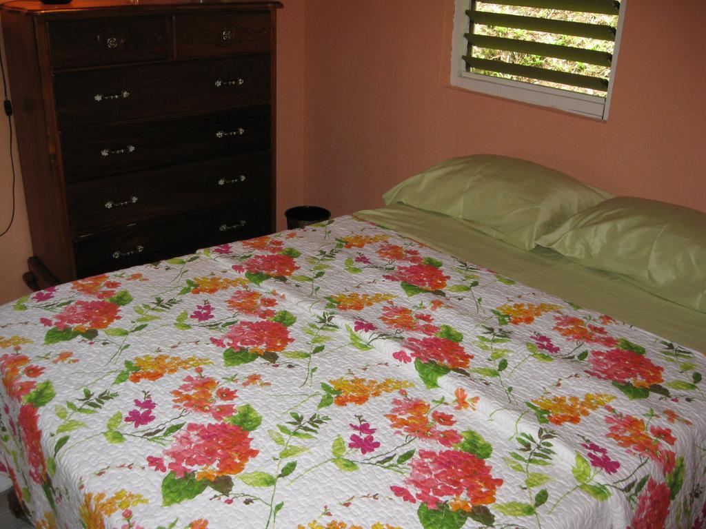 Pineapple Hill Sea View Holiday home Port Antonio