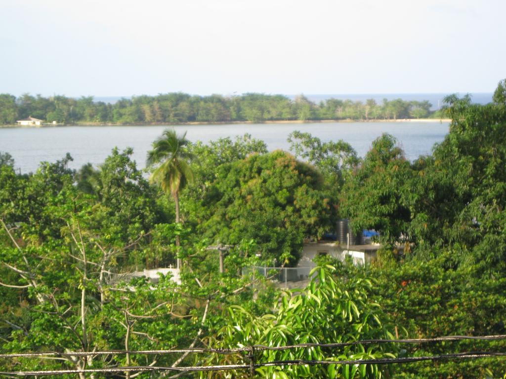 Pineapple Hill Sea View Port Antonio