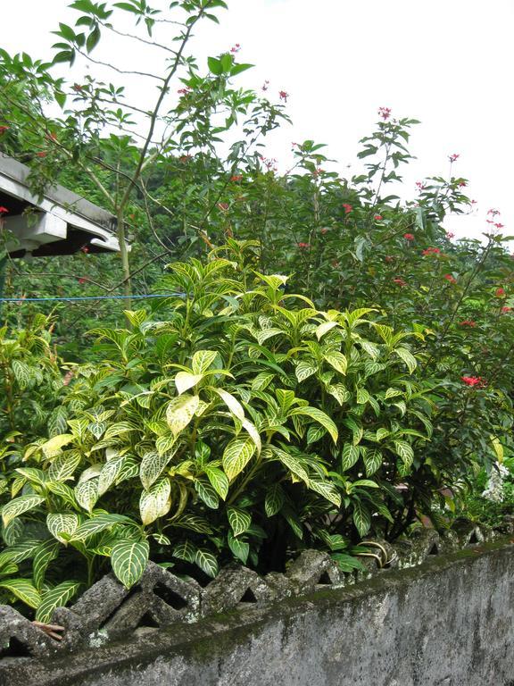 Holiday home Pineapple Hill Sea View Port Antonio
