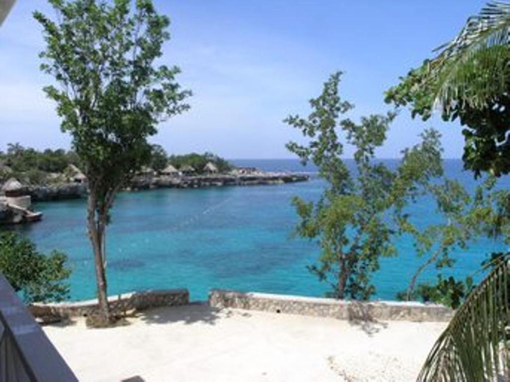 Guest house Alvynegril Negril