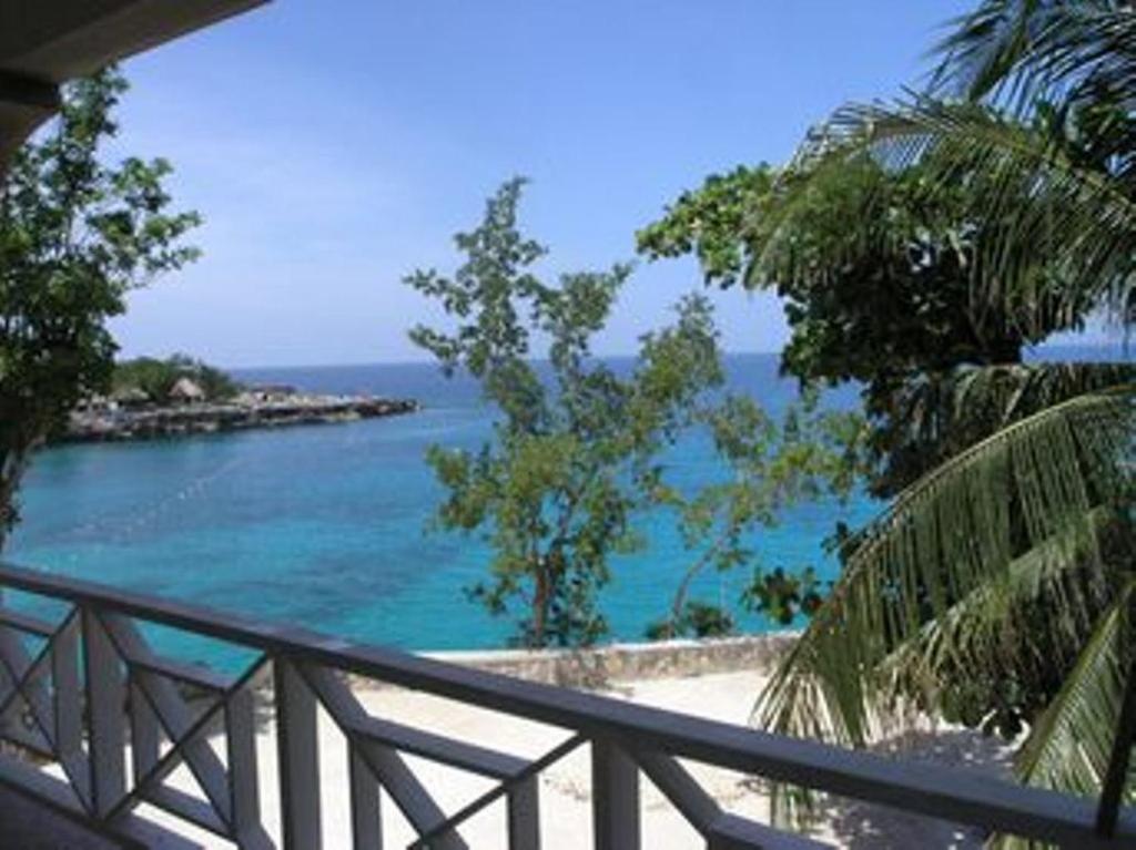 Alvynegril 2* Negril