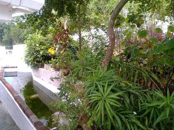 Guest house Treasure's Comfort Claremont