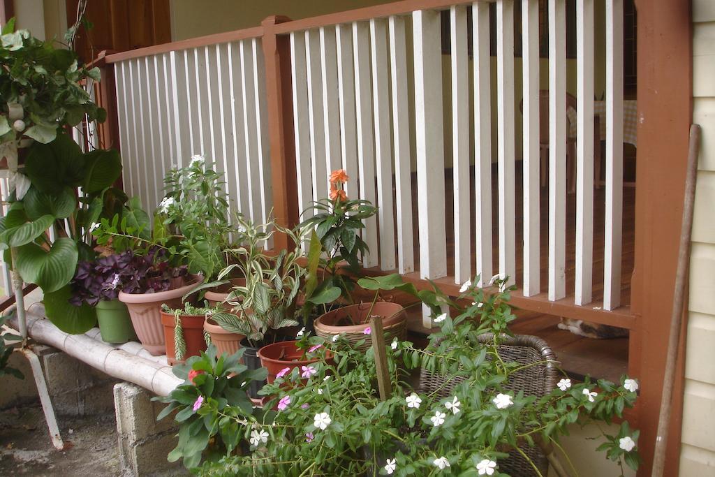 Bed & Breakfast Finjam Port Antonio