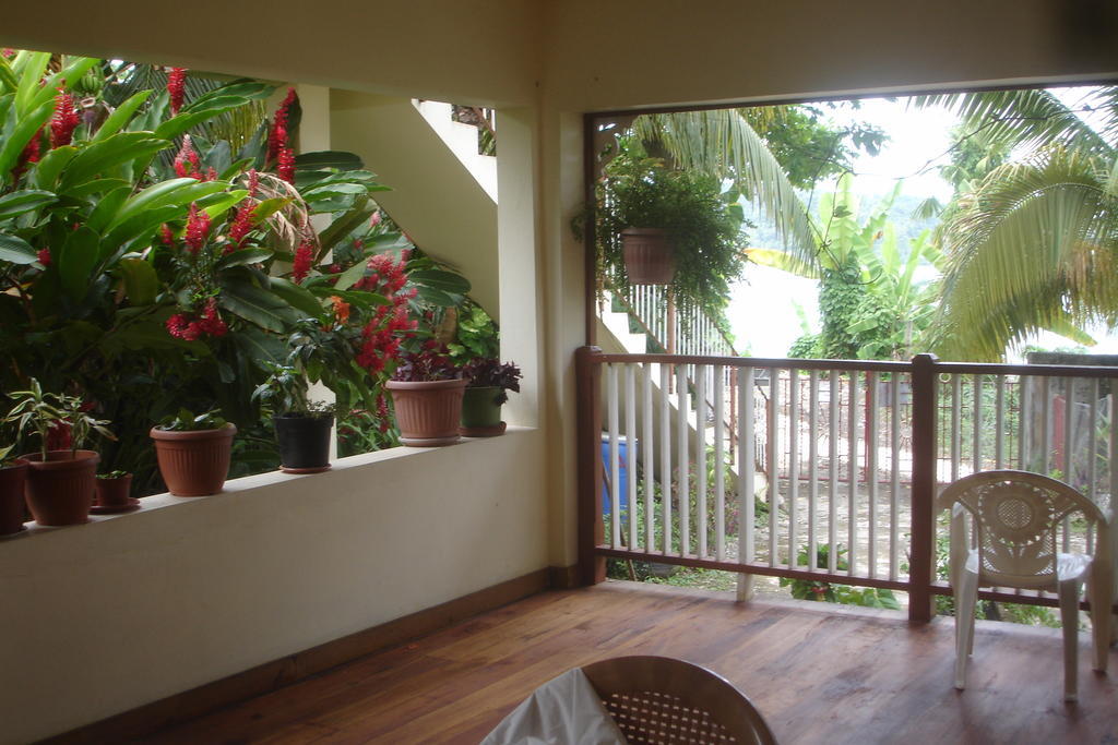 Bed & Breakfast Finjam Port Antonio