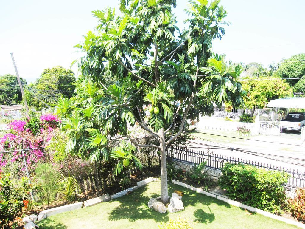 Ferienhaus Paradise Palms Jamaica Vacation *