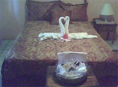 Hotel Cotton Tree 3*
