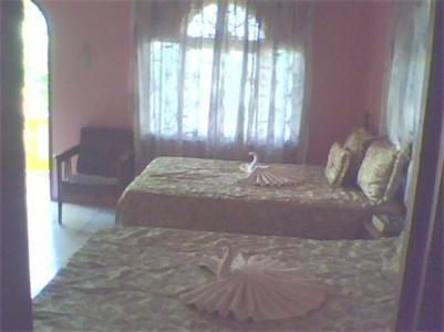 Hotel Cotton Tree