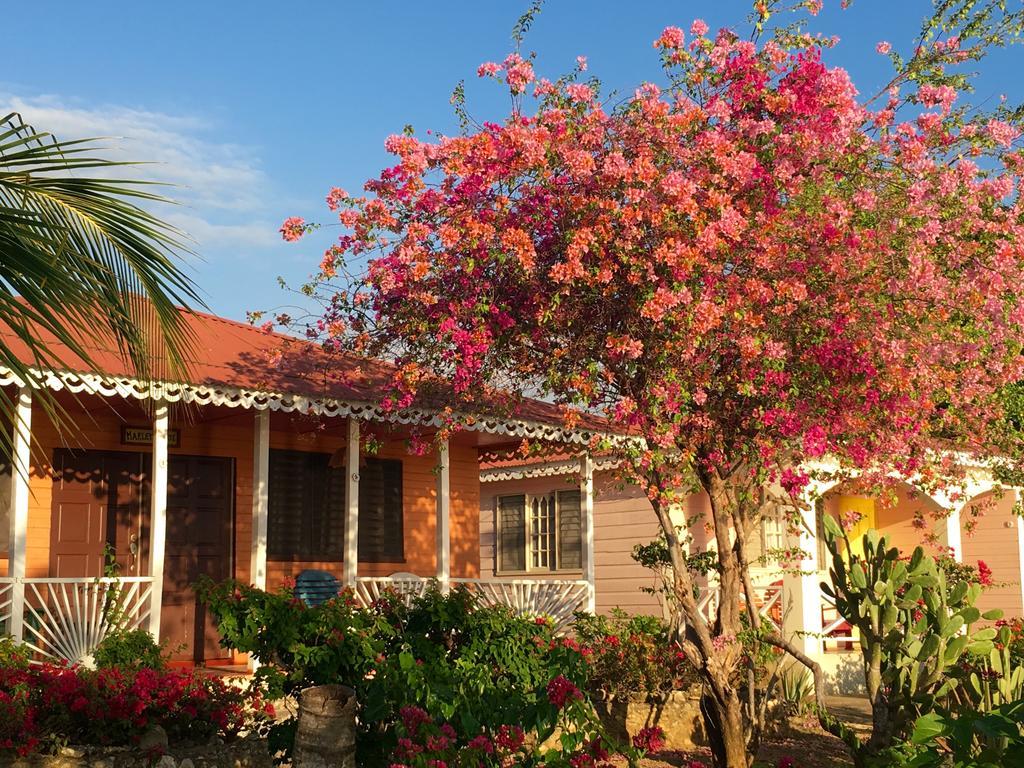 Holiday park Little Bay Cabins