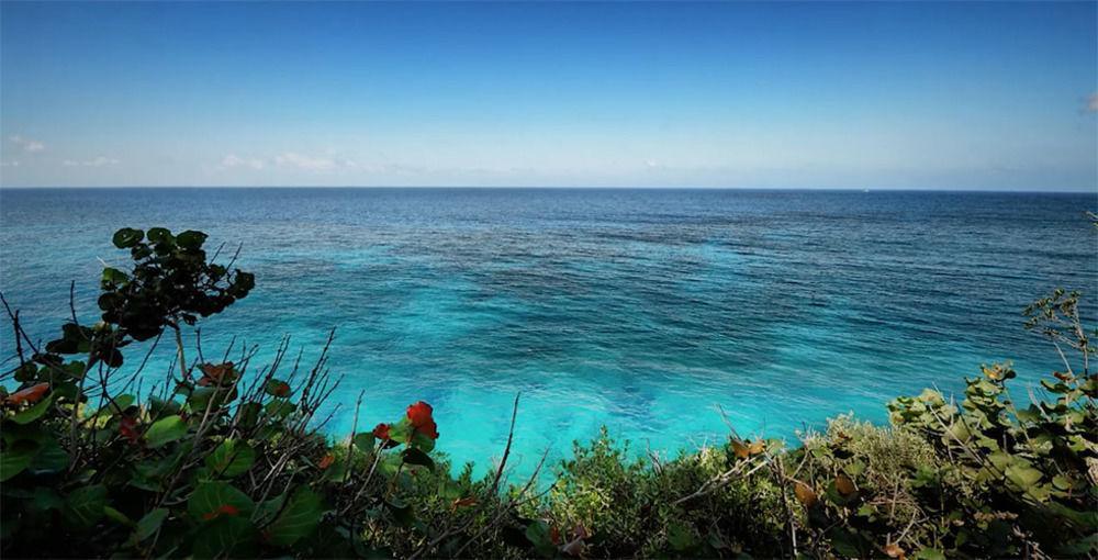 Frenchman's Cove 3* Port Antonio