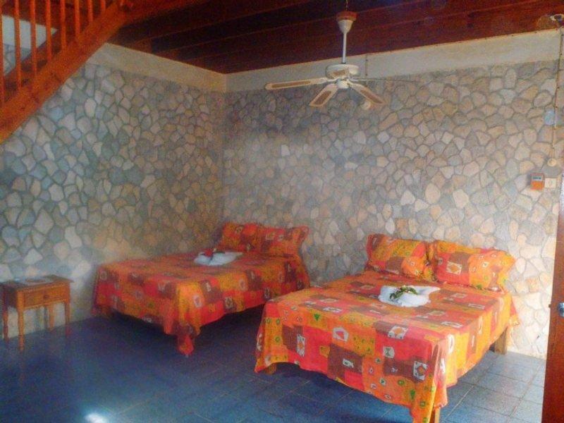 Cotton Tree Negril