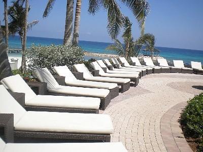 Apartment Paradise Found *