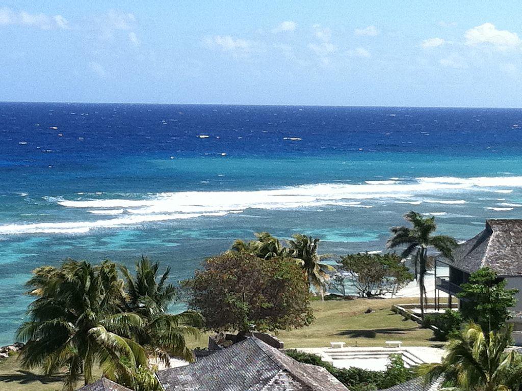 Paradise Found