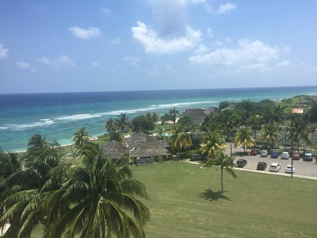 Paradise Found *