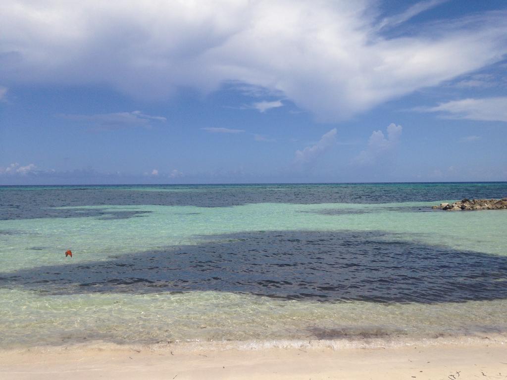 Seacastles By The Beach/pool Aparthotel Montego Bay