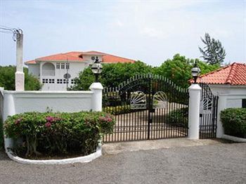 Paradise L Horizon -