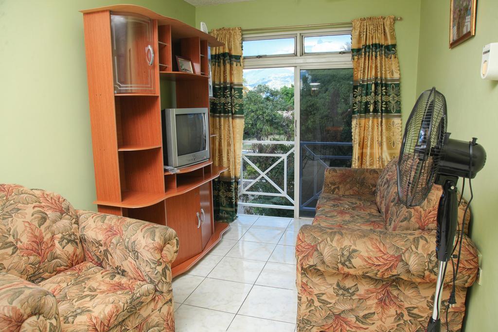 Angel'S Apartment Jamaica Apartment *