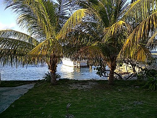 Hotel Cariblue & Scuba 3*