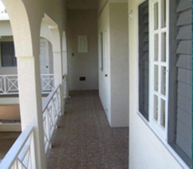 Alvynegril 2*