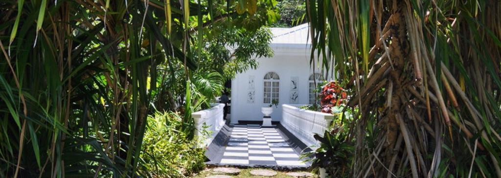 Hotel Jamaica Palace 3*