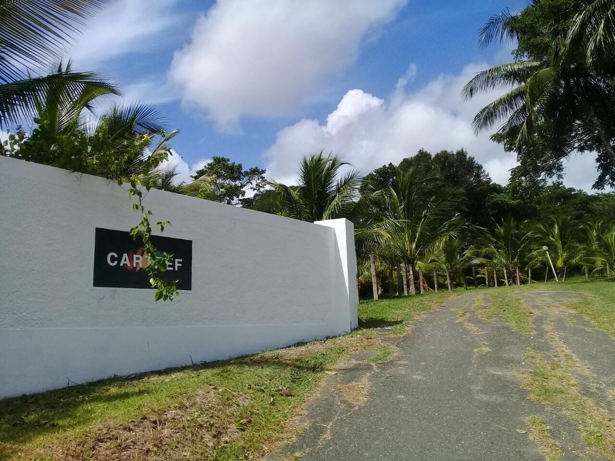 Cartref Creative Cribs Guest house *