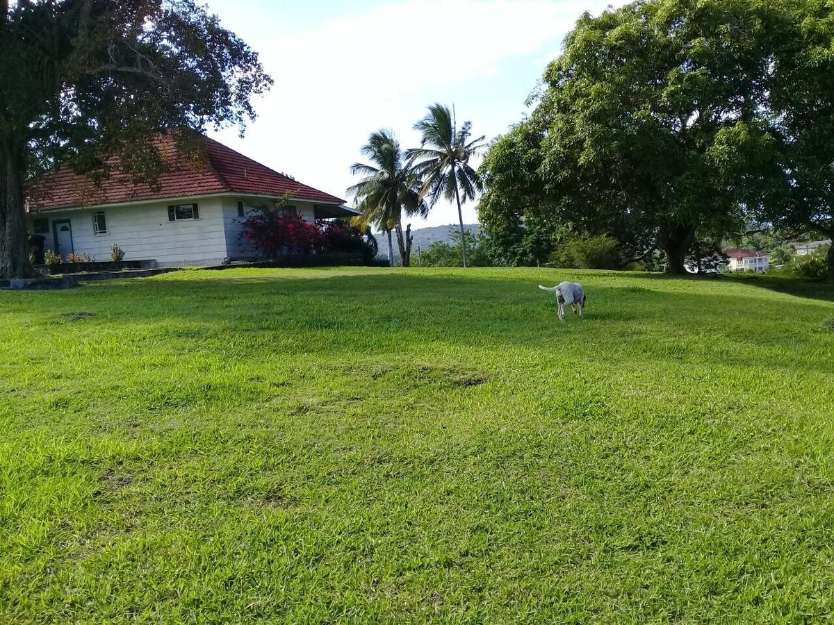 Cartref Creative Cribs Guest house Port Maria