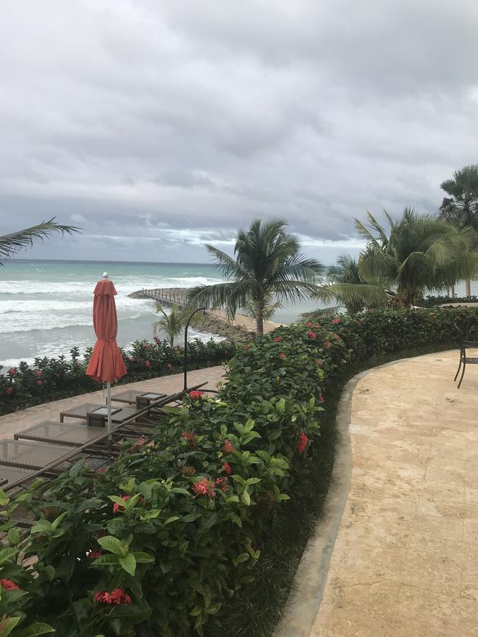 Paradise Found