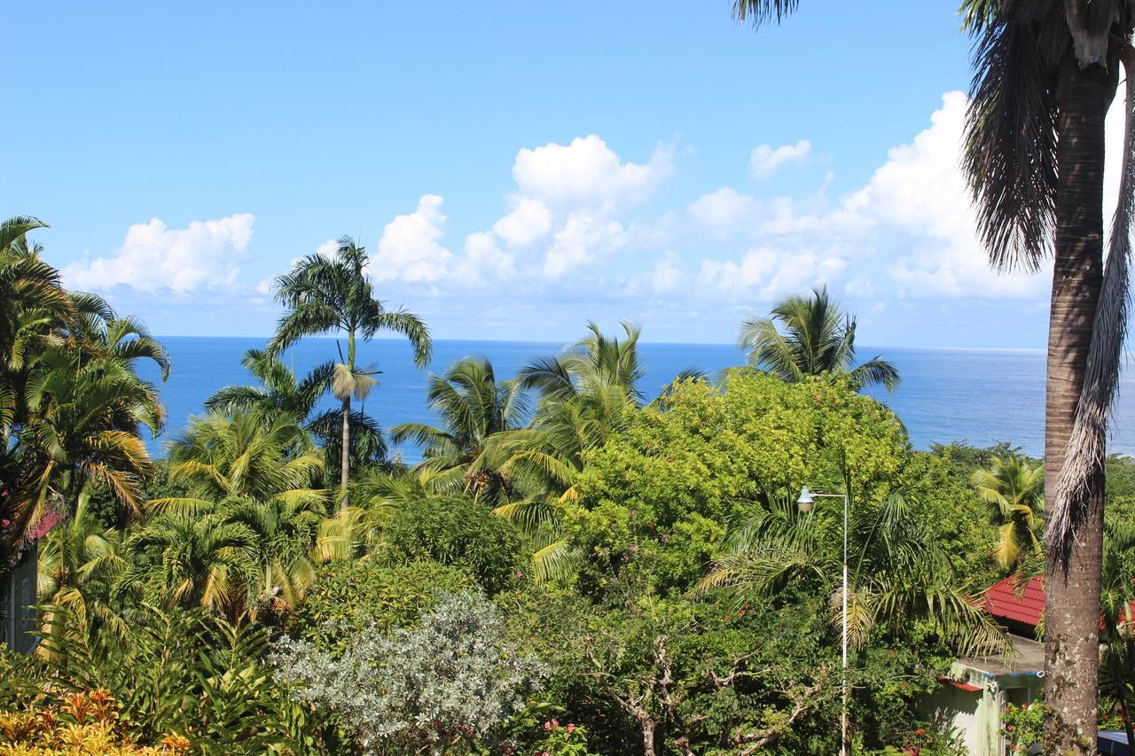 Rio Vista Port Antonio