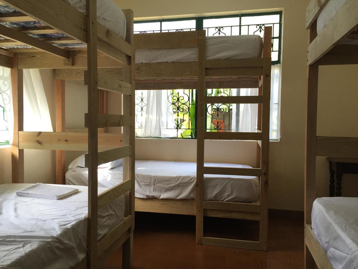 Backpackers Kingston