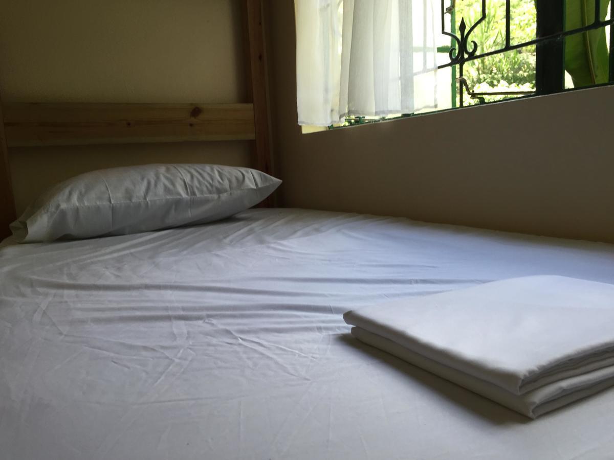 Hostel Backpackers