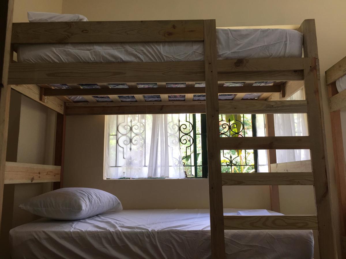 Backpackers Hostel Kingston