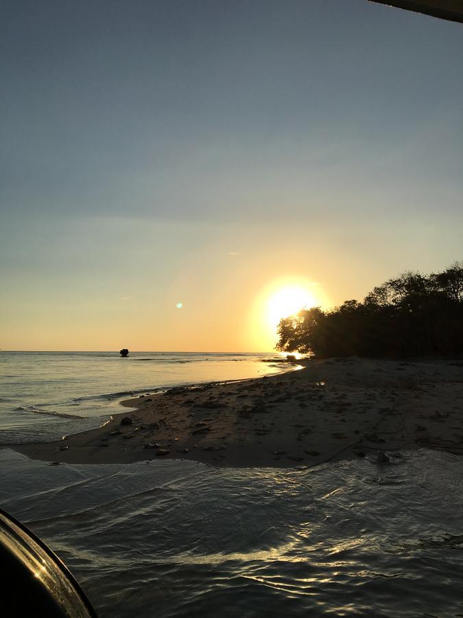 Tropical Breeze Guest house Negril