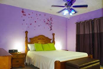 Casa Alexandria Guest