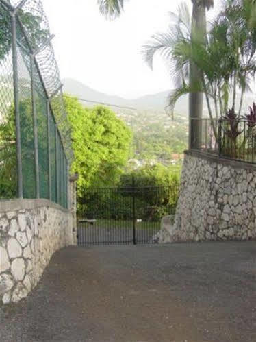 Bed & Breakfast Hill Jamaica Kingston