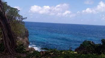 Frenchman's Cove Port Antonio