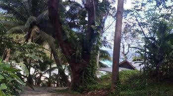 Frenchman's Cove Port Antonio