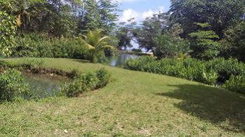 Frenchman's Cove Port Antonio