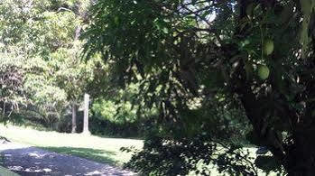 Frenchman's Cove Hotel 3*