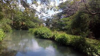 Frenchman's Cove Hotel Port Antonio