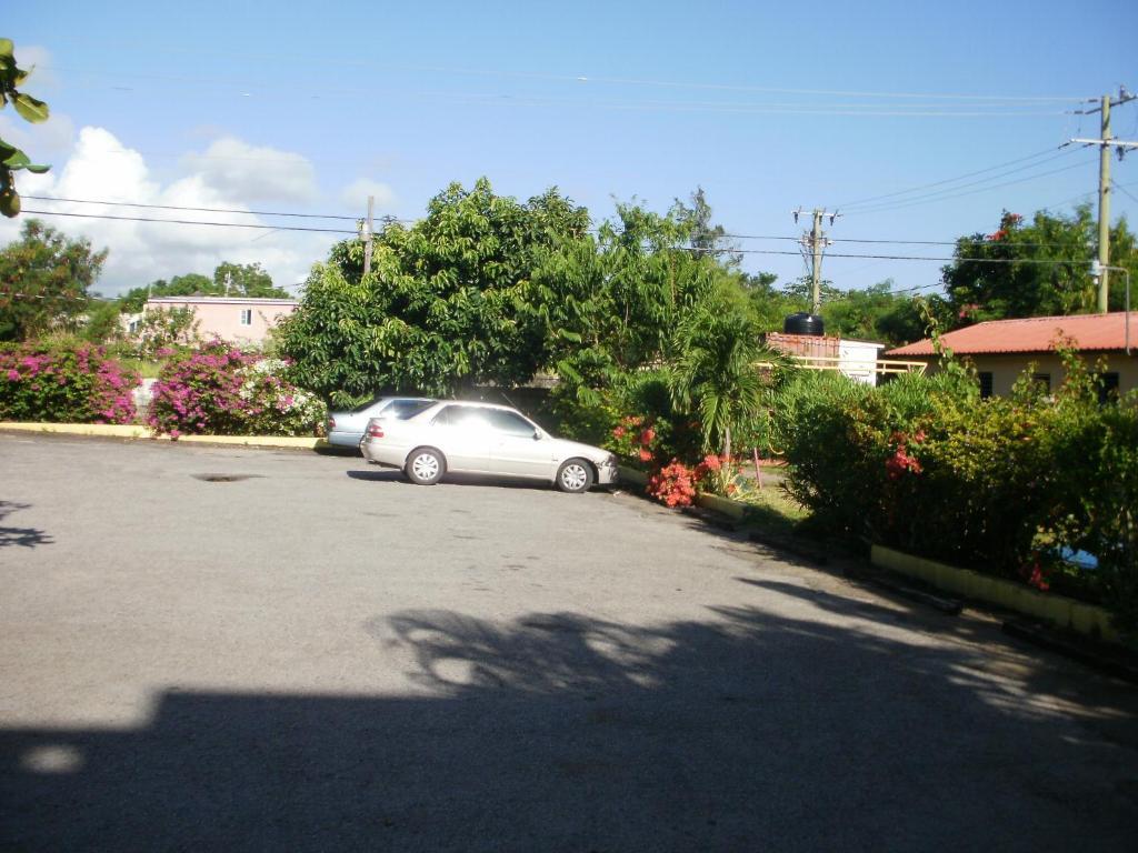 Pineapple Court