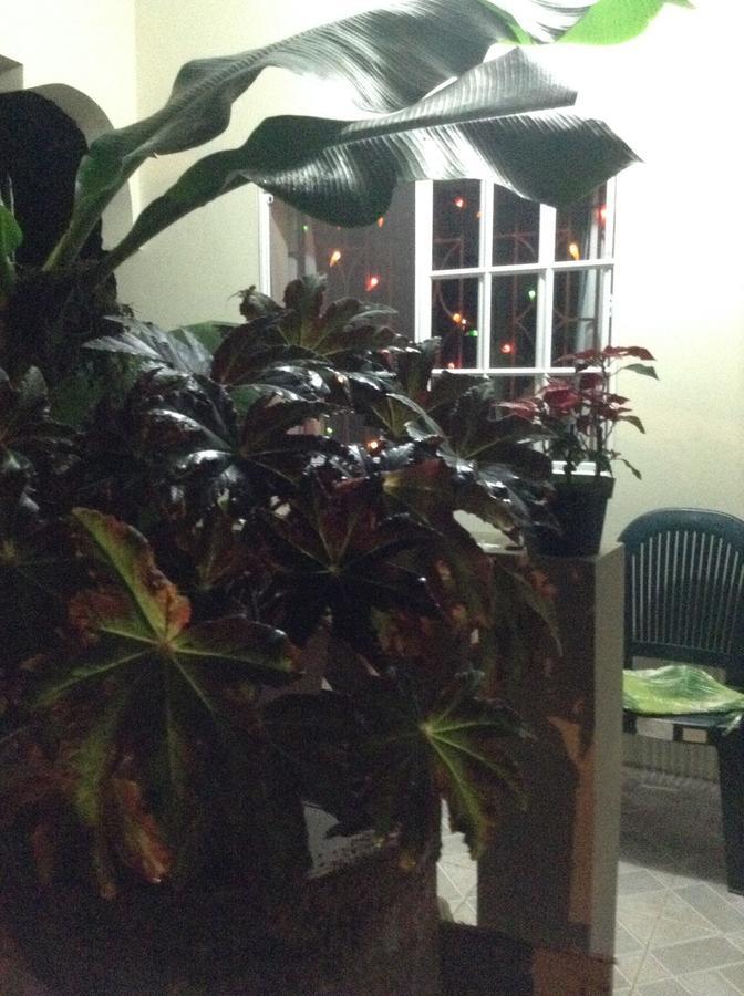 New Moon Guest house