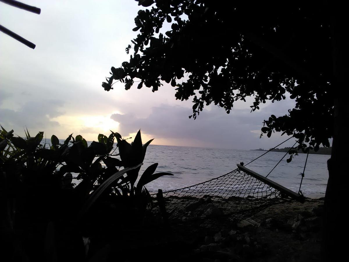Brian's Beach House Port Antonio
