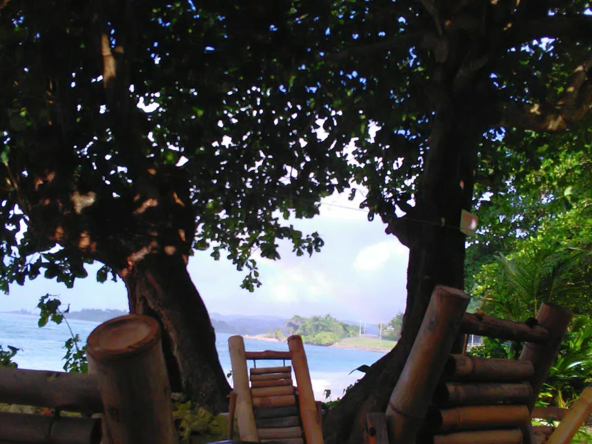 Lodge Brian's Beach House Port Antonio