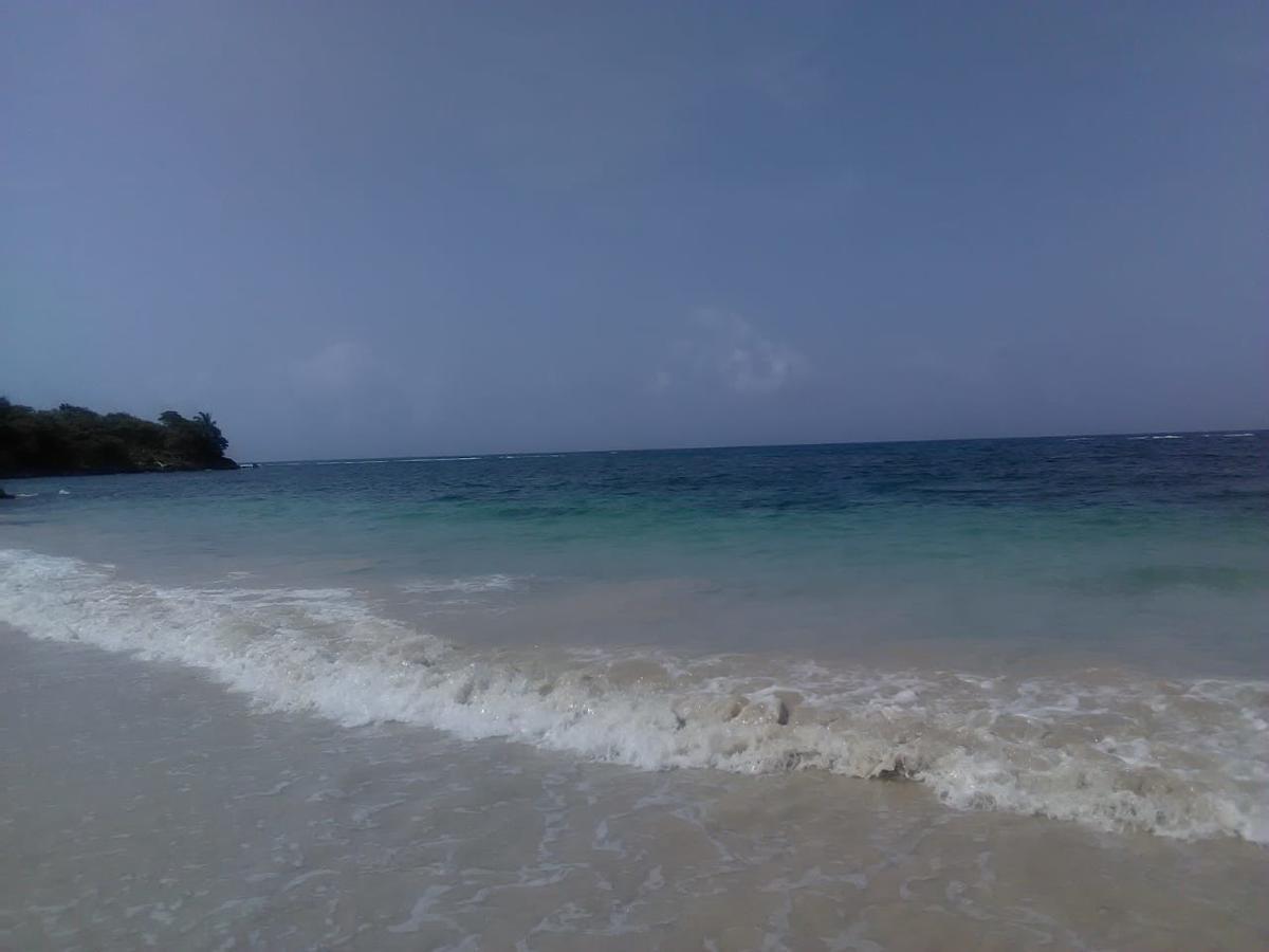 Brian's Beach House Port Antonio