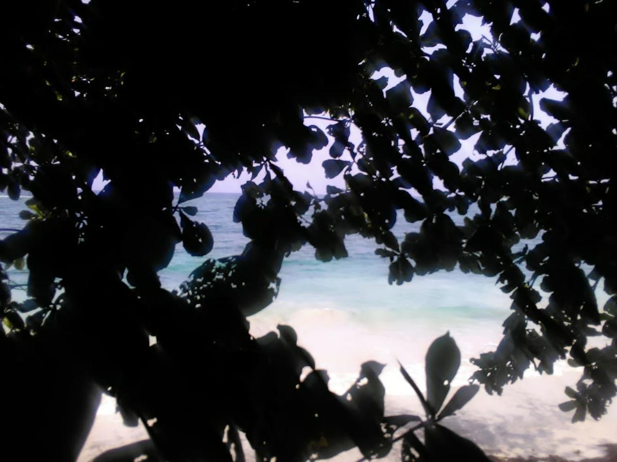 Brian's Beach House * Port Antonio