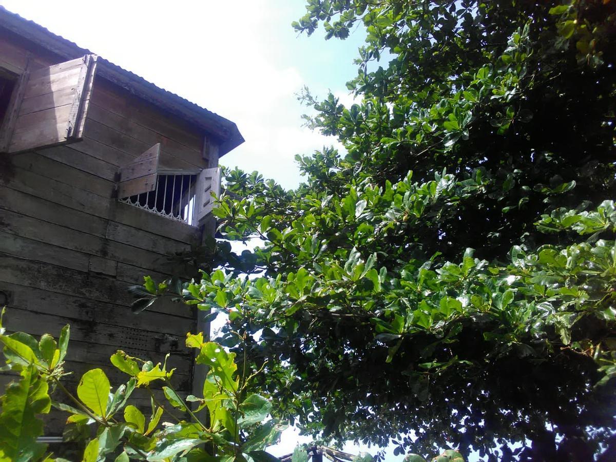 Brian's Beach House