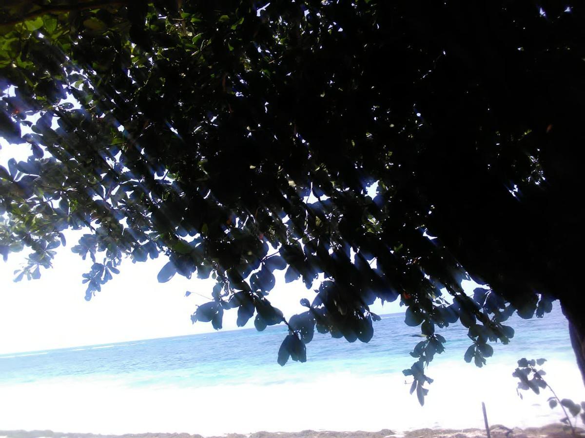 Brian's Beach House *