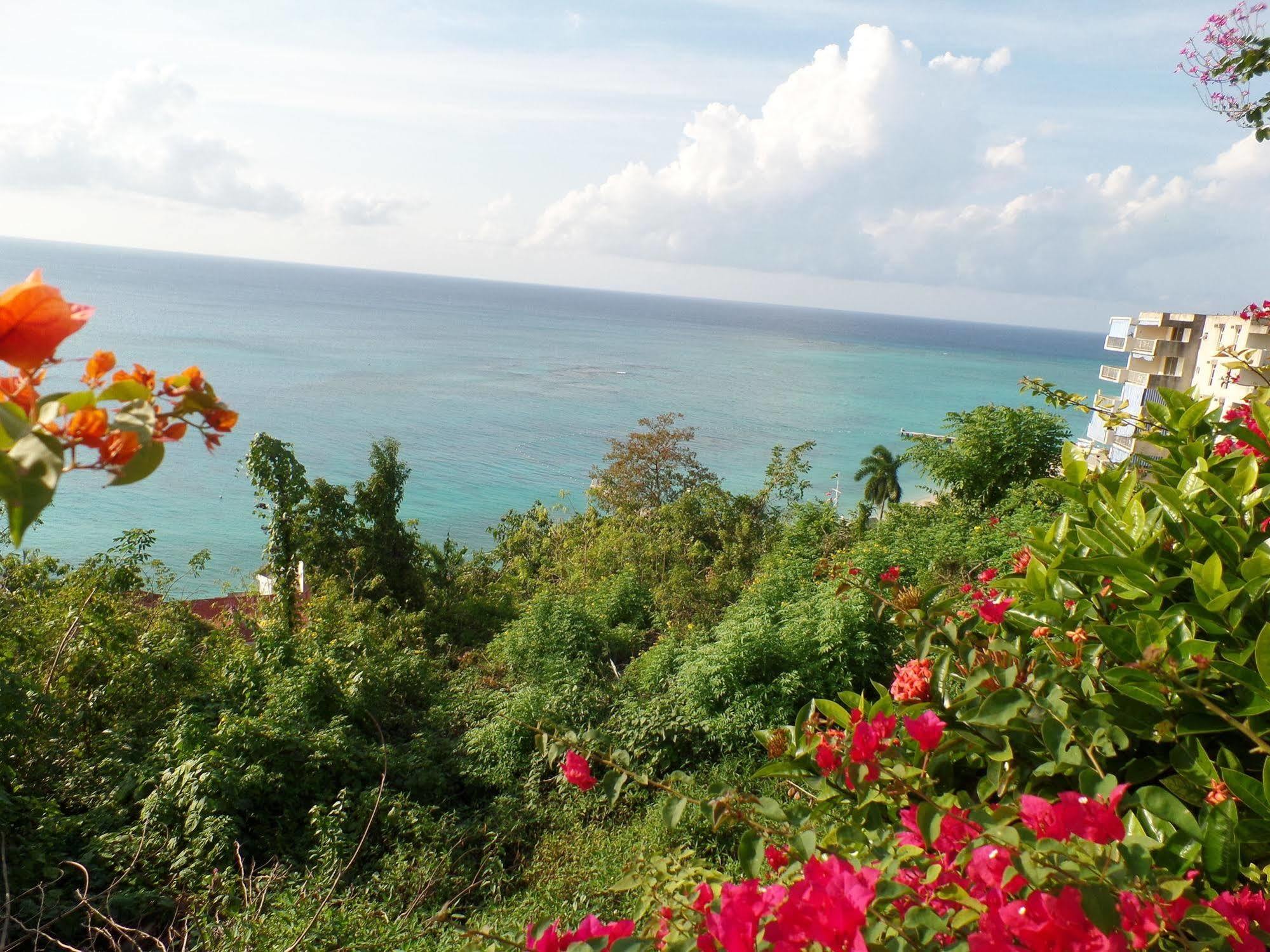 Court Manor At Club Montego Bay