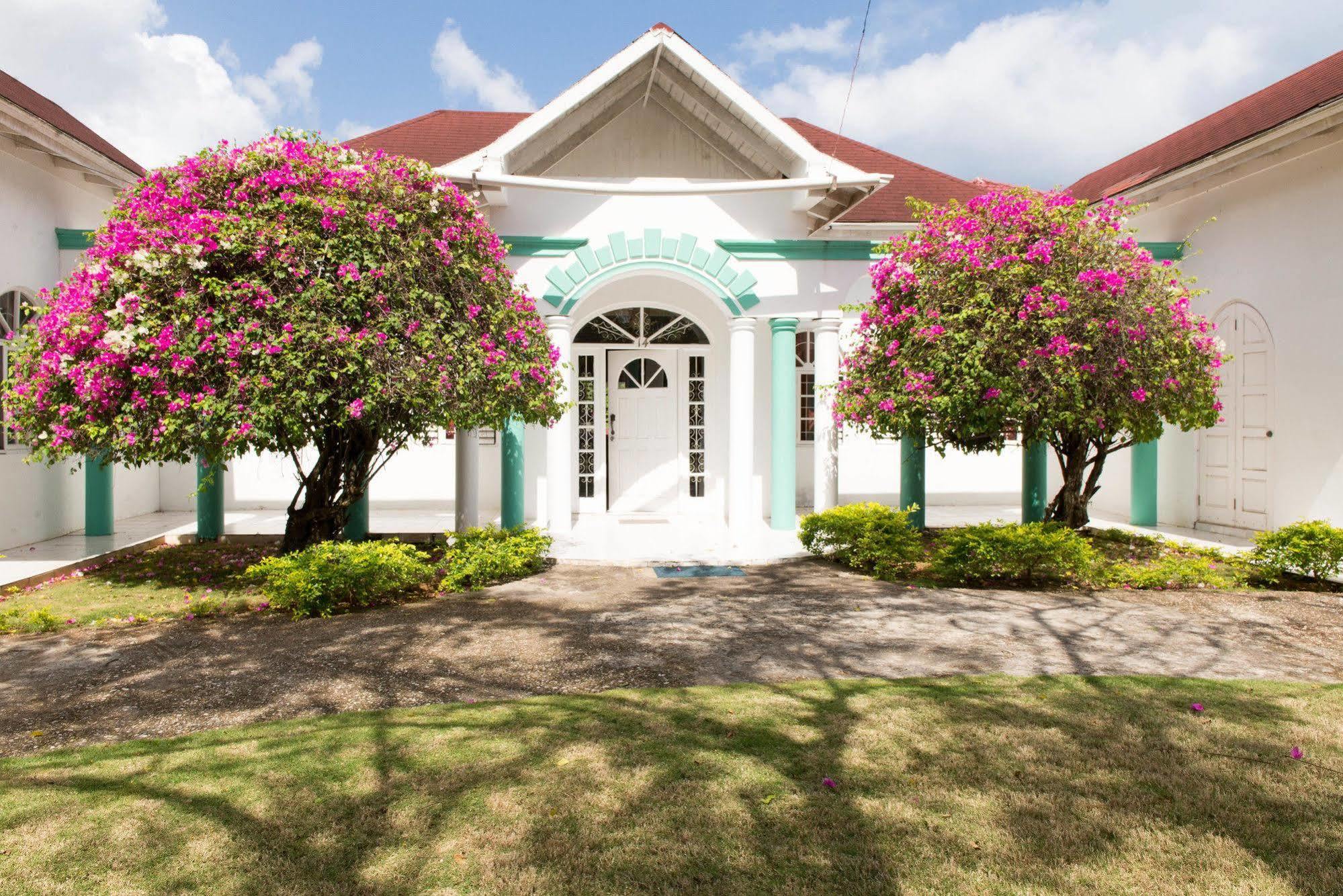 Hotel Diamond And Montego Bay