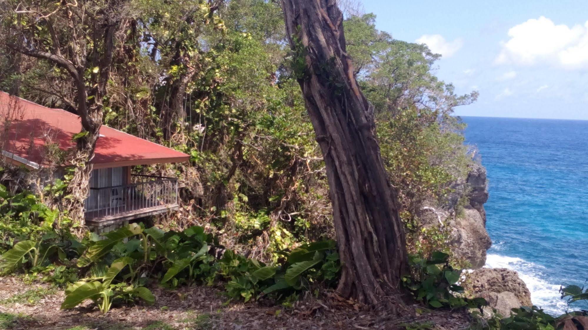 Hotel Frenchman's Cove 3*